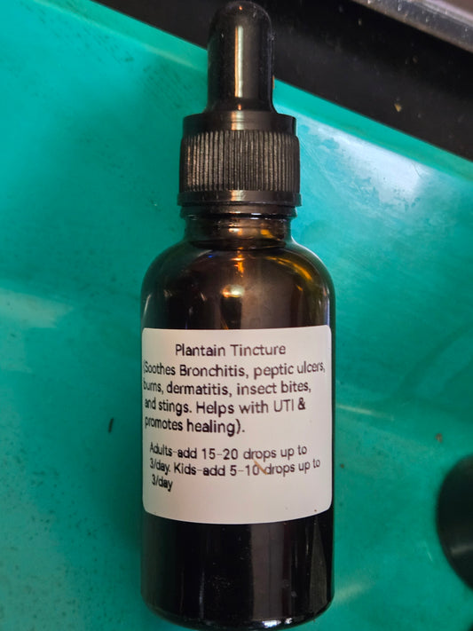 Plantain Tincture