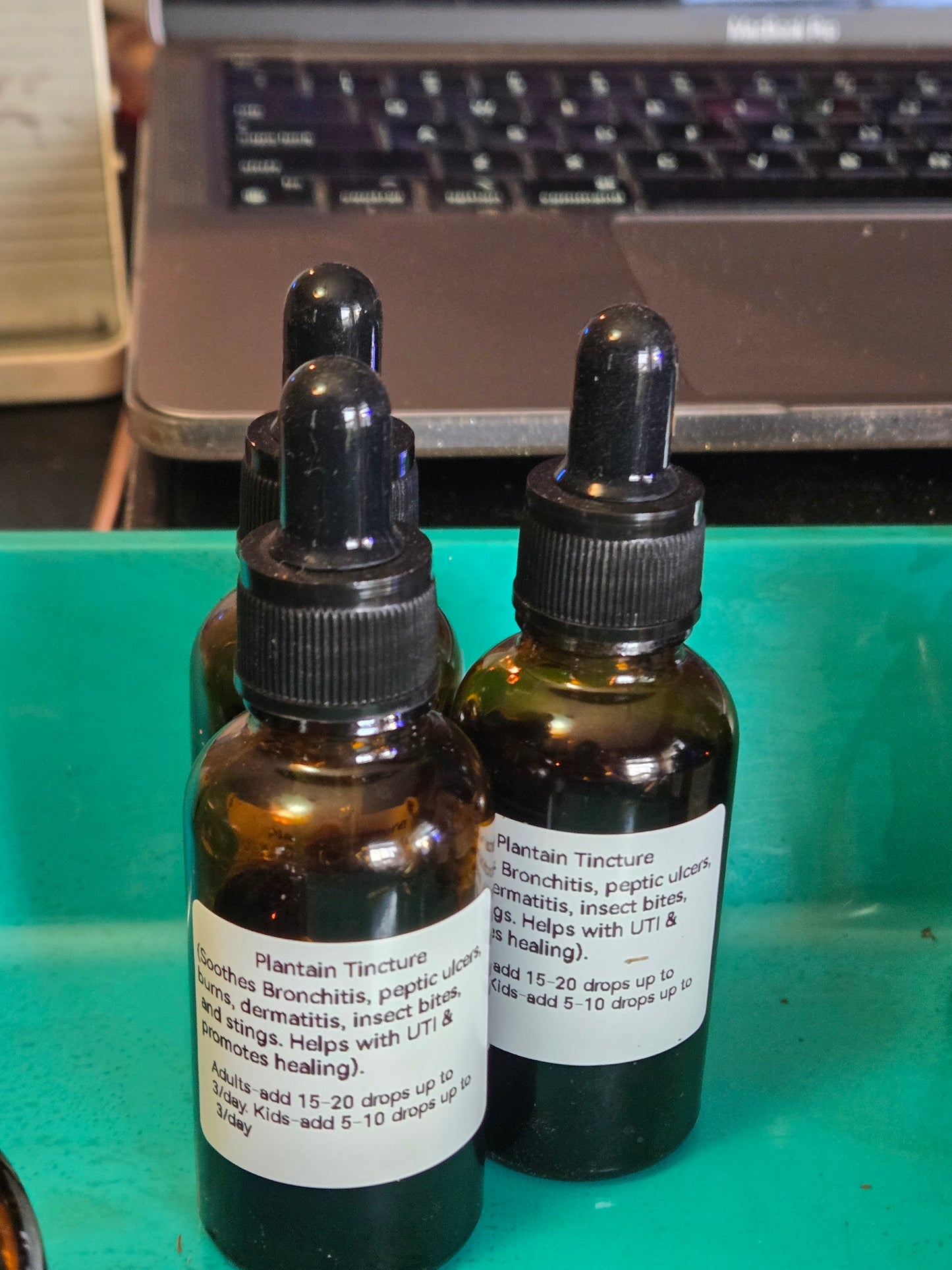 Plantain Tincture