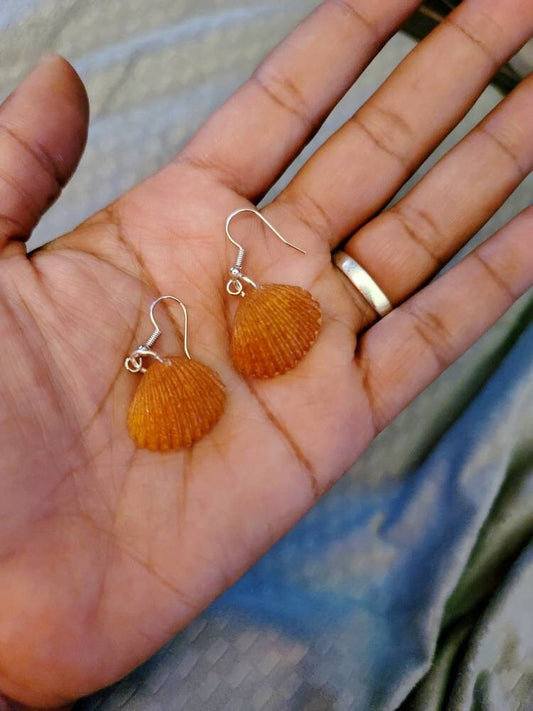 Golden Seashell Earrings